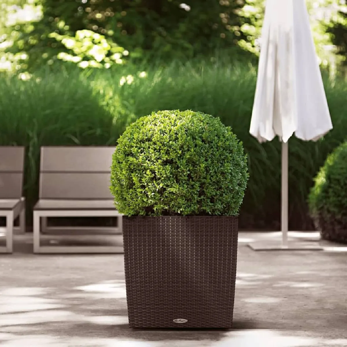 LECHUZA Jardiniere CUBE Cottage 50 ALL-IN-ONE Moka 442088