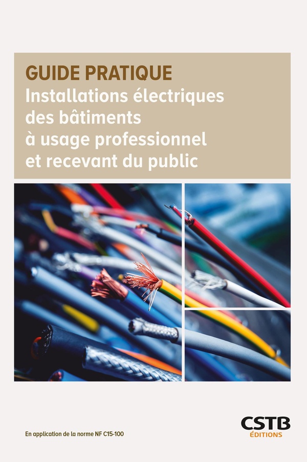 Installations électriques des bâtiments à usage professionnel et recevant du public: en application de la norme NF C 15-100 (août 2024)