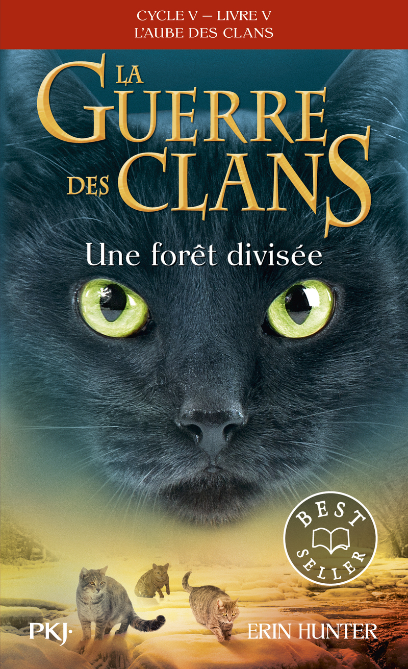 La guerre des clans - Cycle V: L'aube des clans - Tome 5 Une forêt divisée