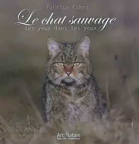 Le chat sauvage, les yeux dans les yeux - Fabrice Cahez