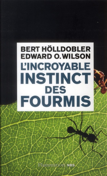 L'incroyable instinct des fourmis: de la culture du champignon à la civilisation