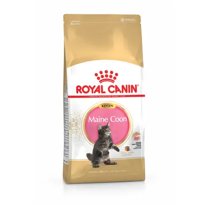 ROYAL CANIN-Royal Canin Croquettes Chaton Maine Coon - 2 kg