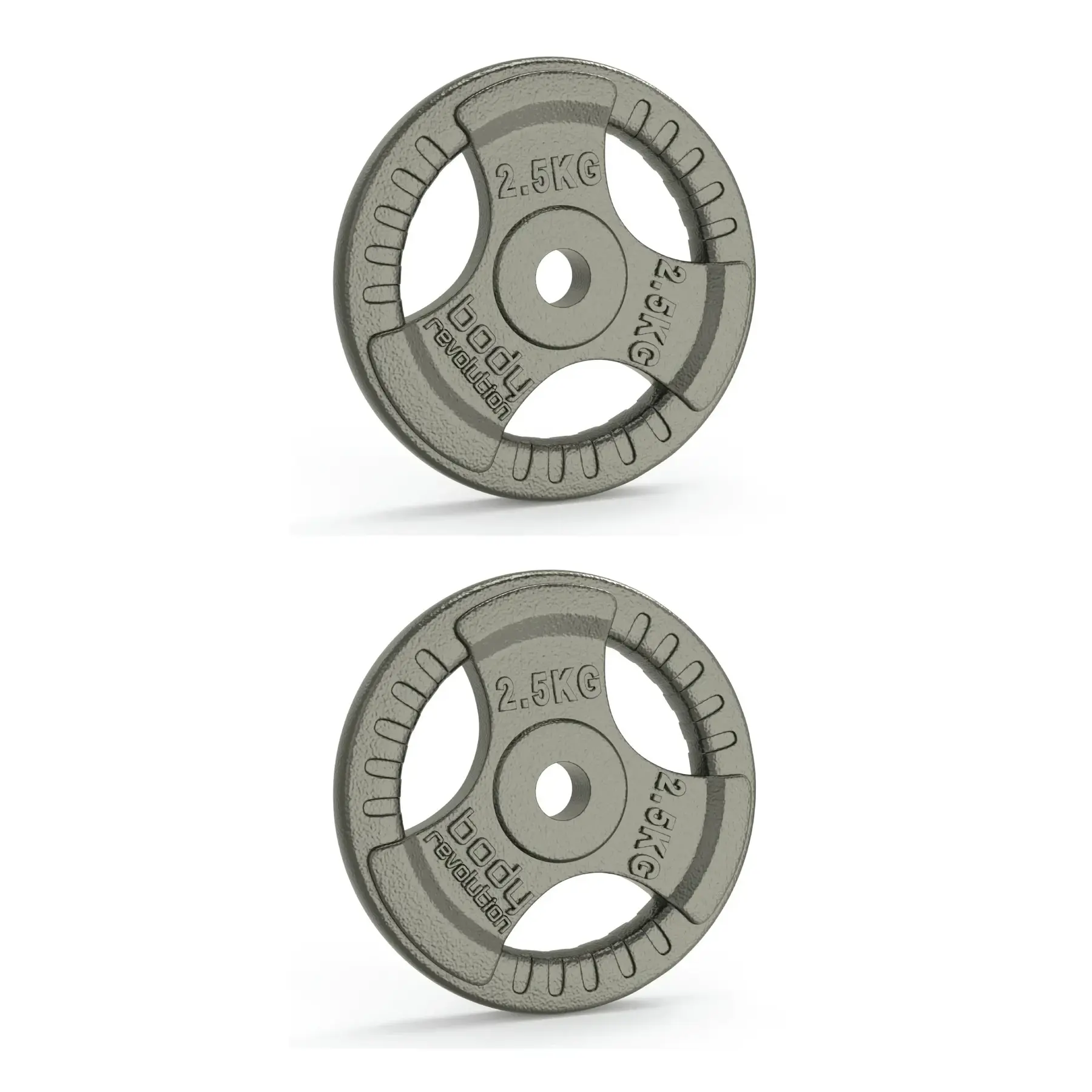 Disque de musculation en fonte Body Revolution 2,5kg (x2)
