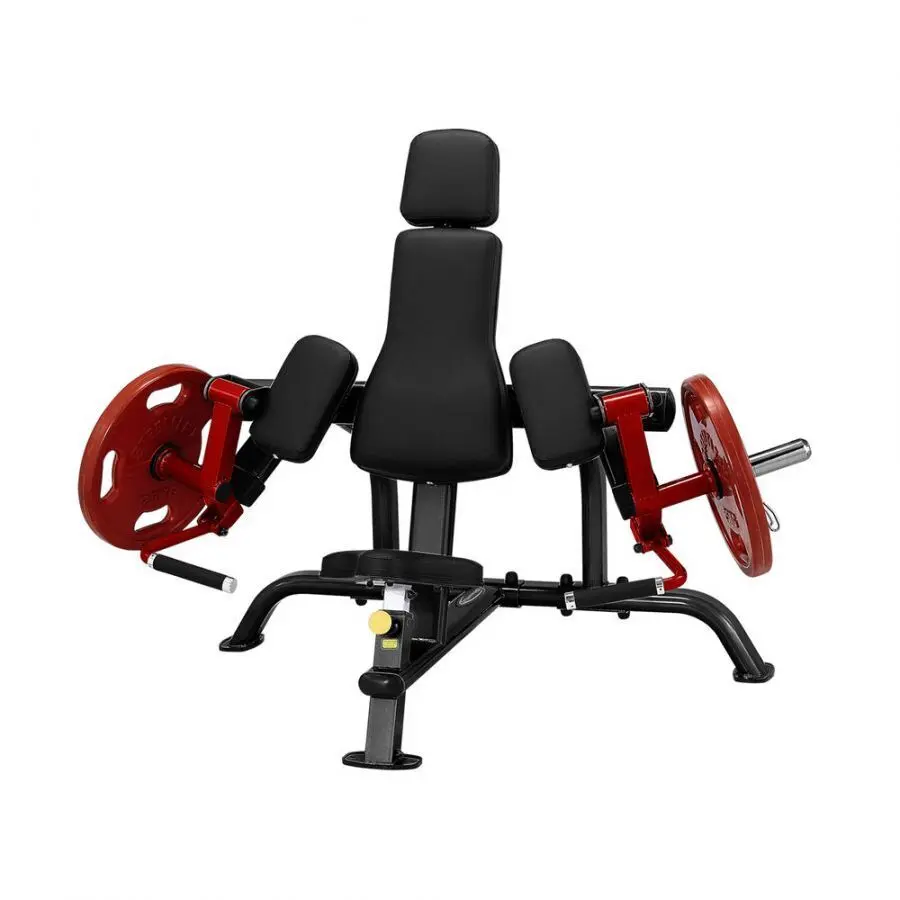 Appareil de musculation biceps charge plaque Steelflex