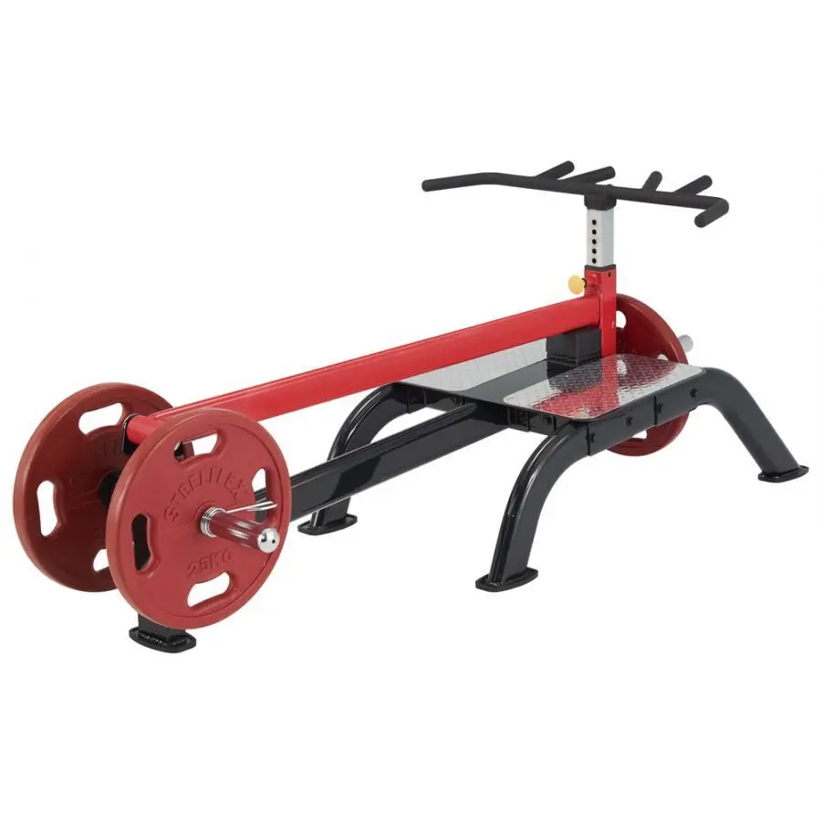 Appareil de musculation bar en T debout charge plaque Steelflex