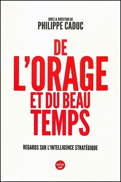 De l'orage et du beau temps: regards sur l'intelligence stratégique