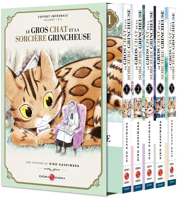 Le gros chat et la sorcière grincheuse: coffret intégrale, volumes 1 à 5