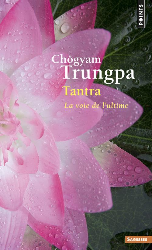 Tantra: la voie de l'ultime