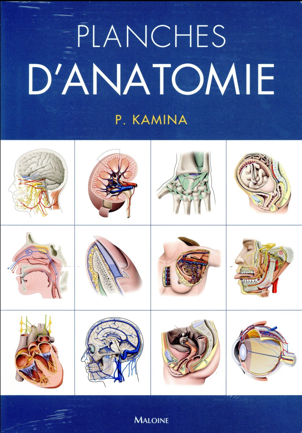 Planches d'anatomie, 3e éd. Coffret