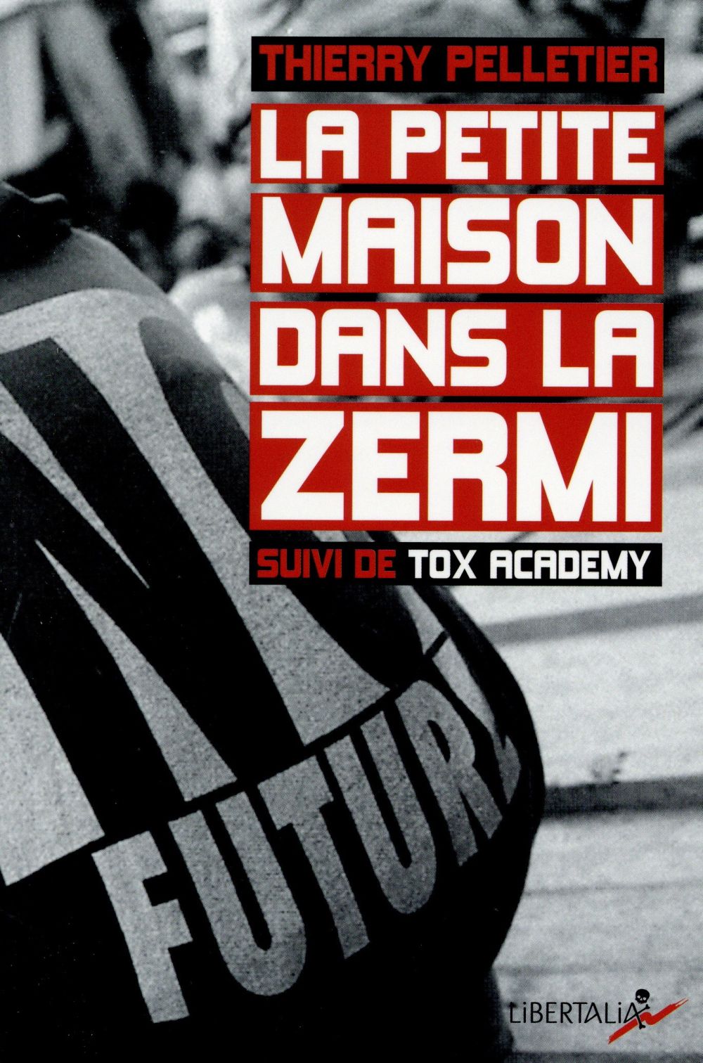 La petite maison dans la zermi - chroniques d'un saisonnier de la misère