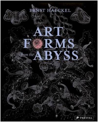 Ernst haeckel art forms from the abyss