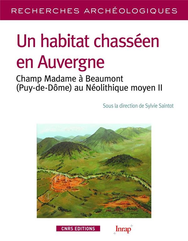 Un habitat chasséen en Auvergne: Champ Madame à Beaumont (Puy-de-Dôme) au néolithique moyen II