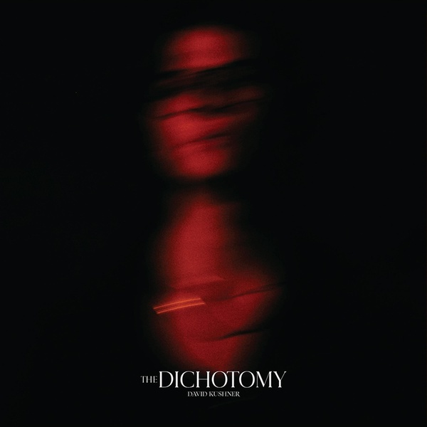 The Dichotomy - Vinyle