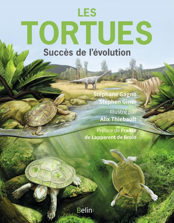 Les tortues: succès de l'évolution