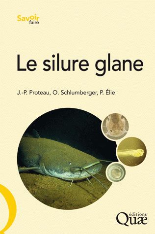 Le silure glane: biologie, écologie, élevage
