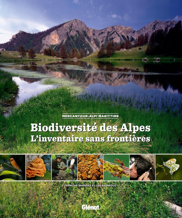 Biodiversité des Alpes - l'inventaire sans frontières - Mercantour Alpes Maritimes