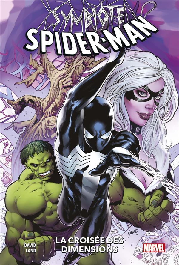 Symbiote Spider-Man: La croisée des dimensions
