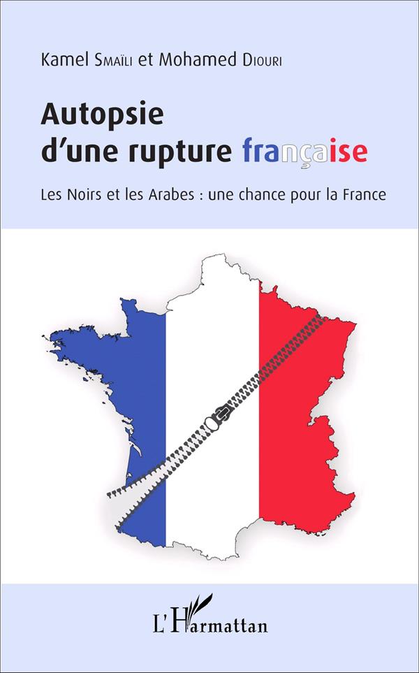 Autopsie d'une rupture française - les Noirs et les Arabes: une chance pour la France