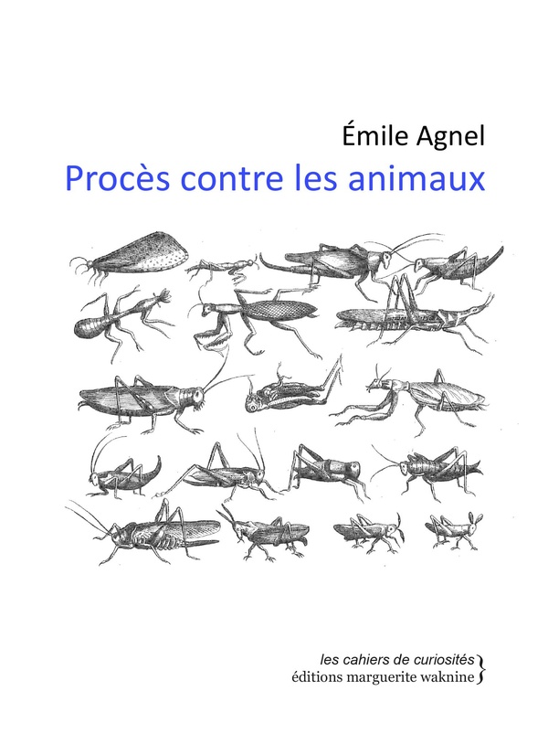 Procès contre les animaux: curiosités judiciaires et historiques du Moyen Age