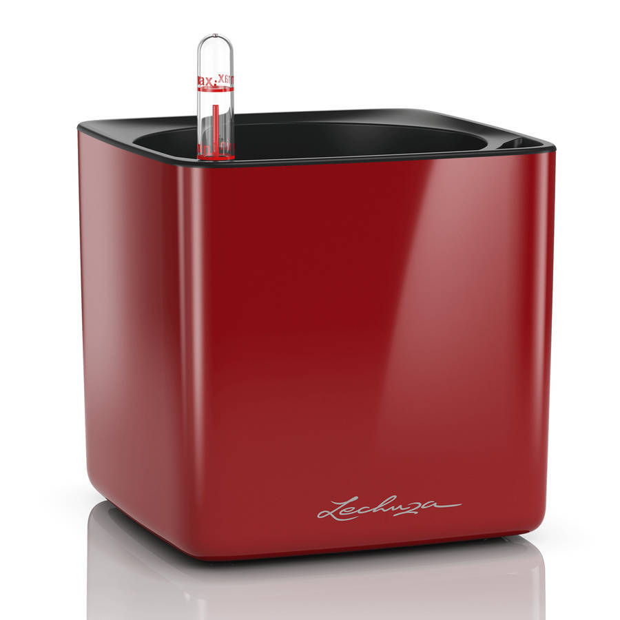 Lechuza - Pot De Table Cube Glossy 16 - Scarlet, Rouge Brillant, L 17 X P 17 X H 16 Cm