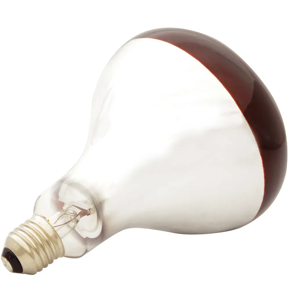 Ampoule Infrarouge Pour Éleveuse 60 W