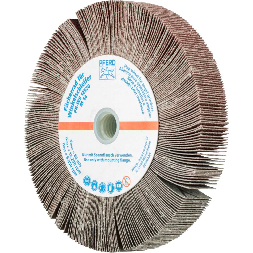 Werkzeug 44782512 Fächerräder Für Winkelschleifer Fr Ws 12520 M14 A120 - Pferd