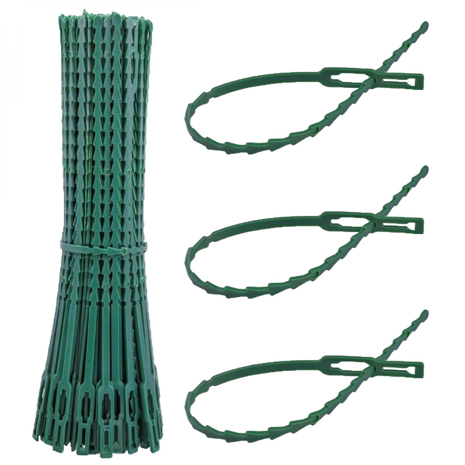 Lot De 200 Attaches Crantées Pour Plantes, Supports, Tuteurs, Liens Réglables Pour Arbustes, Potagers - 13 Cm - Vert - Linxor