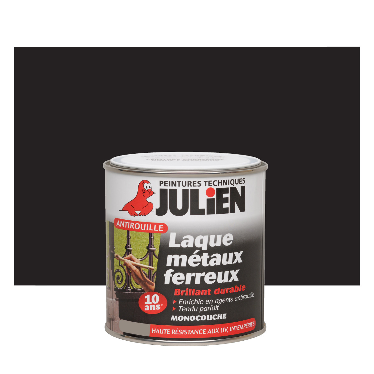 Fericolor Brill Noir 0l25 Julien