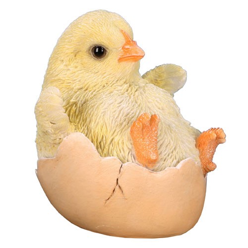 Poussin Coquille 8cm