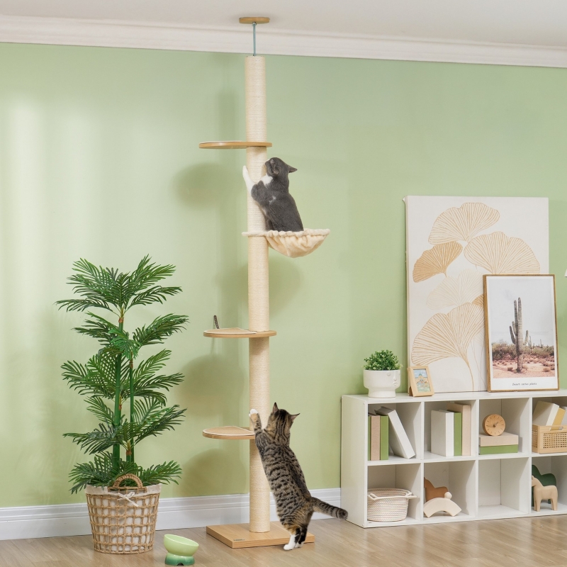 Arbre À Chat Plafond 230-250 Cm, Poteaux En Sisal, Bois D'ingénierie, Chêne Et Crème