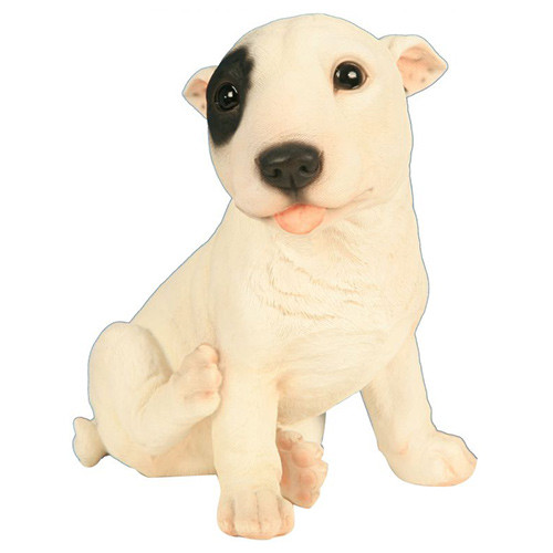 Bébé Bull Terrier