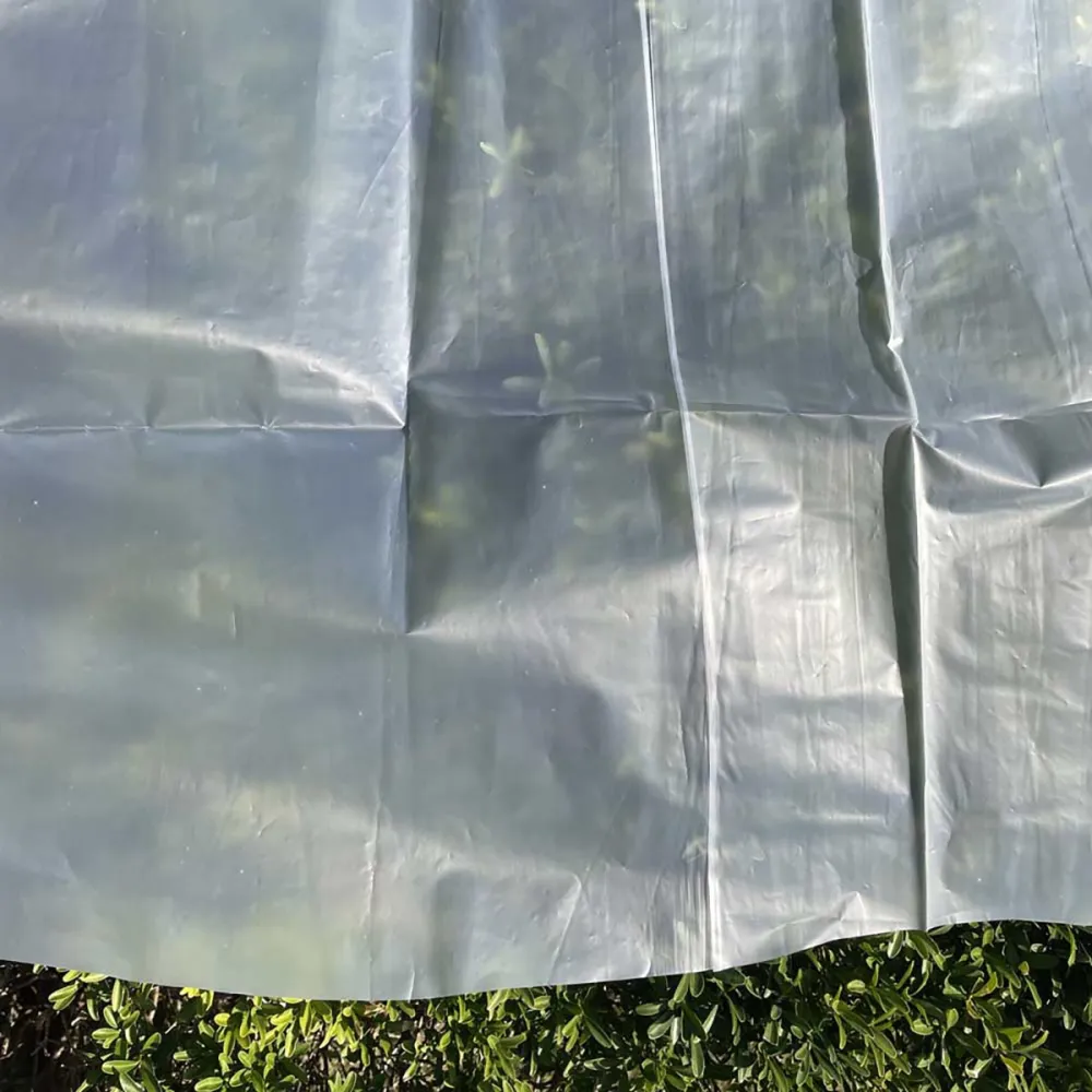 Voile De Croissance Semi-transparent 2,5x10m Pour Protection Des Cultures