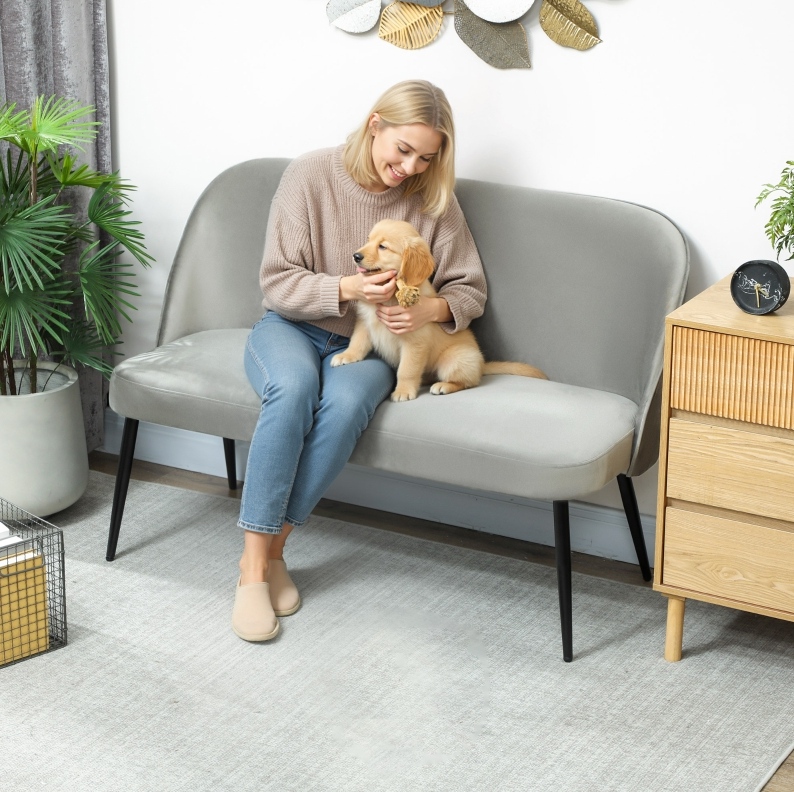 Redom - Canapé 2 Places Design Moderne Minimaliste, Assise Confortable, Tissu Velouté, Métal, Gris