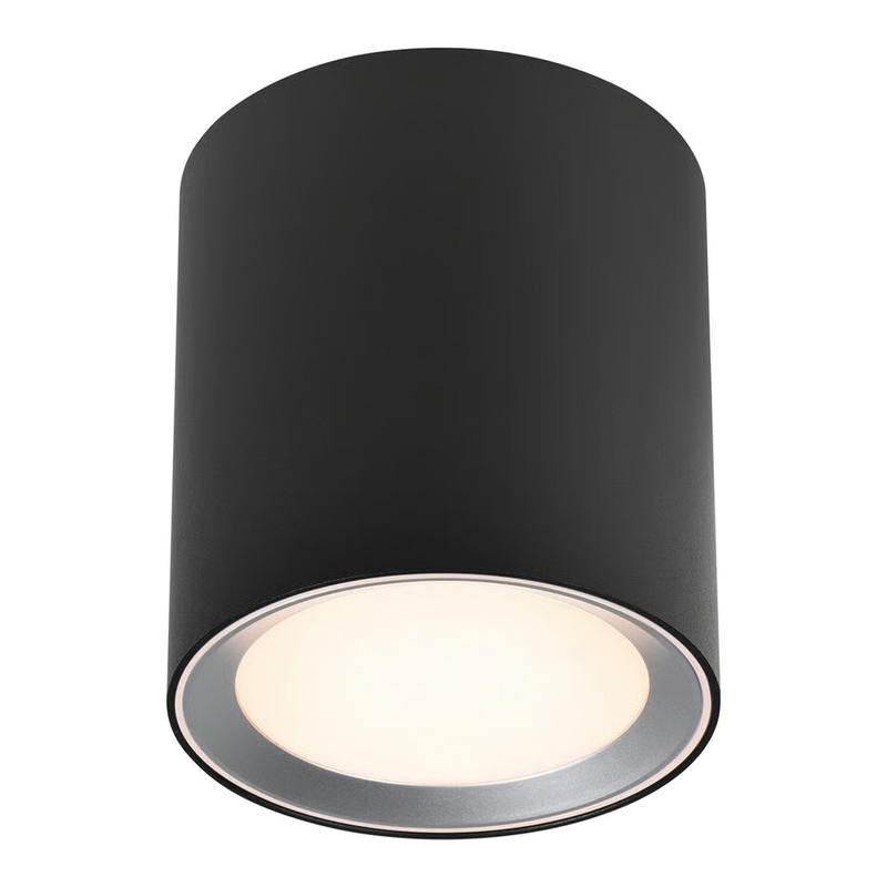 Surface spot LANDON 14 blanc chaud 2700k LED intégrée métal noir IP44 Salle de bain - Nordlux, Intérieur