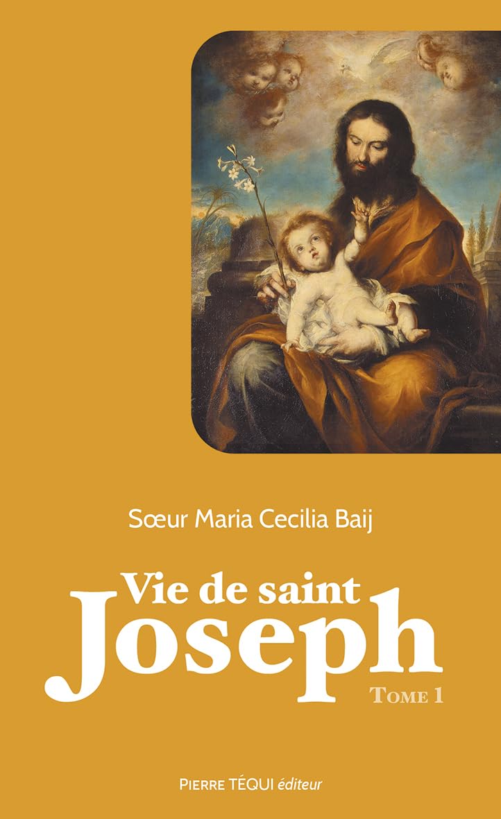 Vie de saint Joseph Tome 1