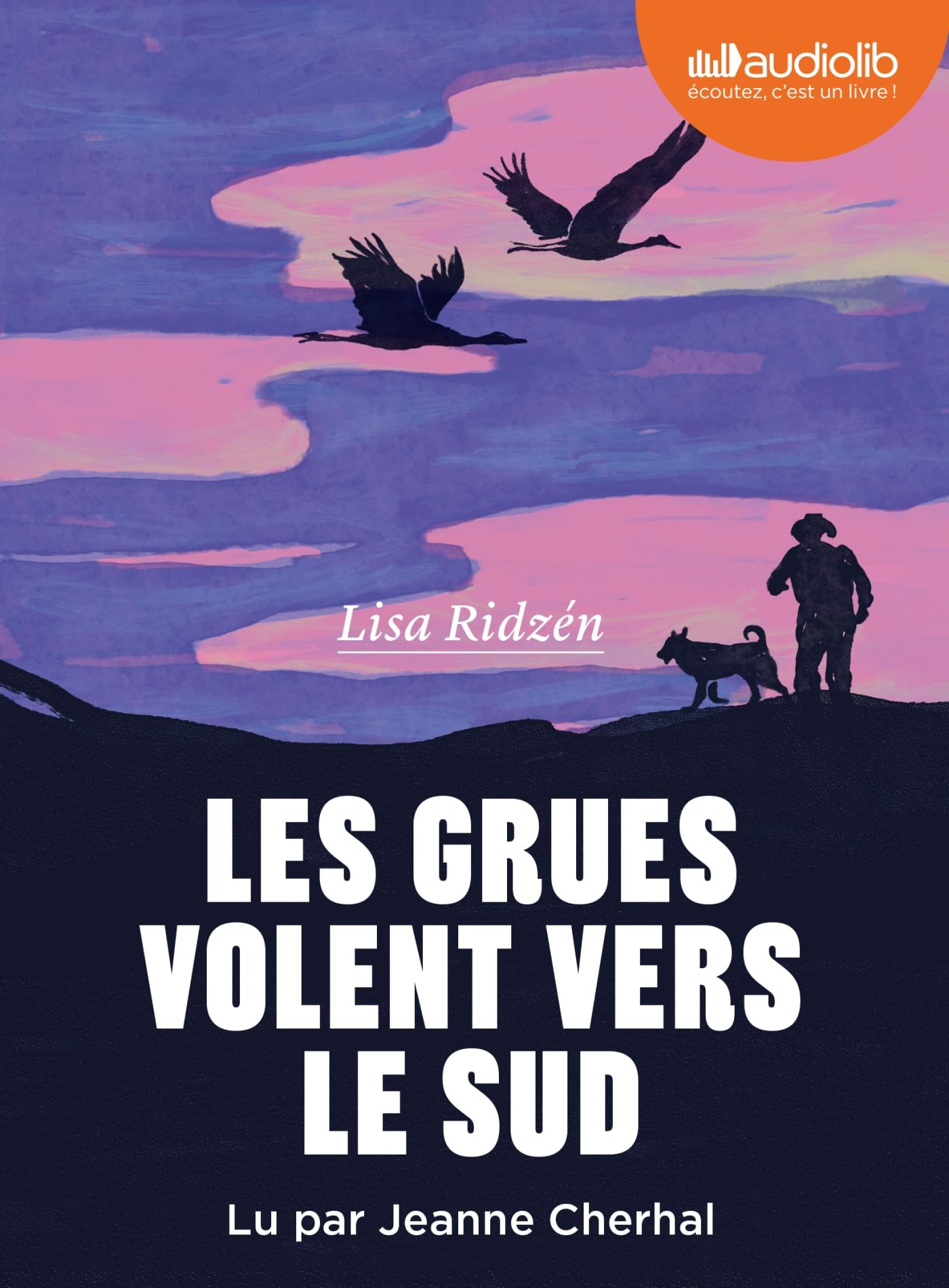 Les grues volent vers le sud - Livre audio 1 CD MP3