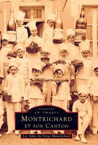 Montrichard et son canton