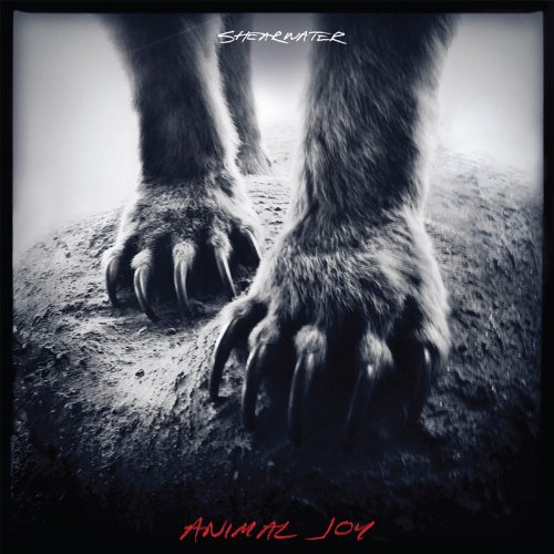 Animal joy