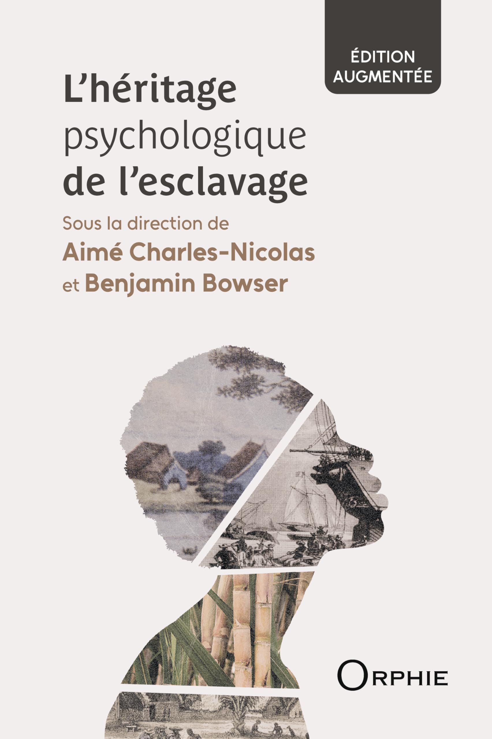 L'heritage psychologique de l'esclavage