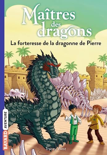 Maîtres des dragons, Tome 17 - La forteresse de la dragonne de Pierre