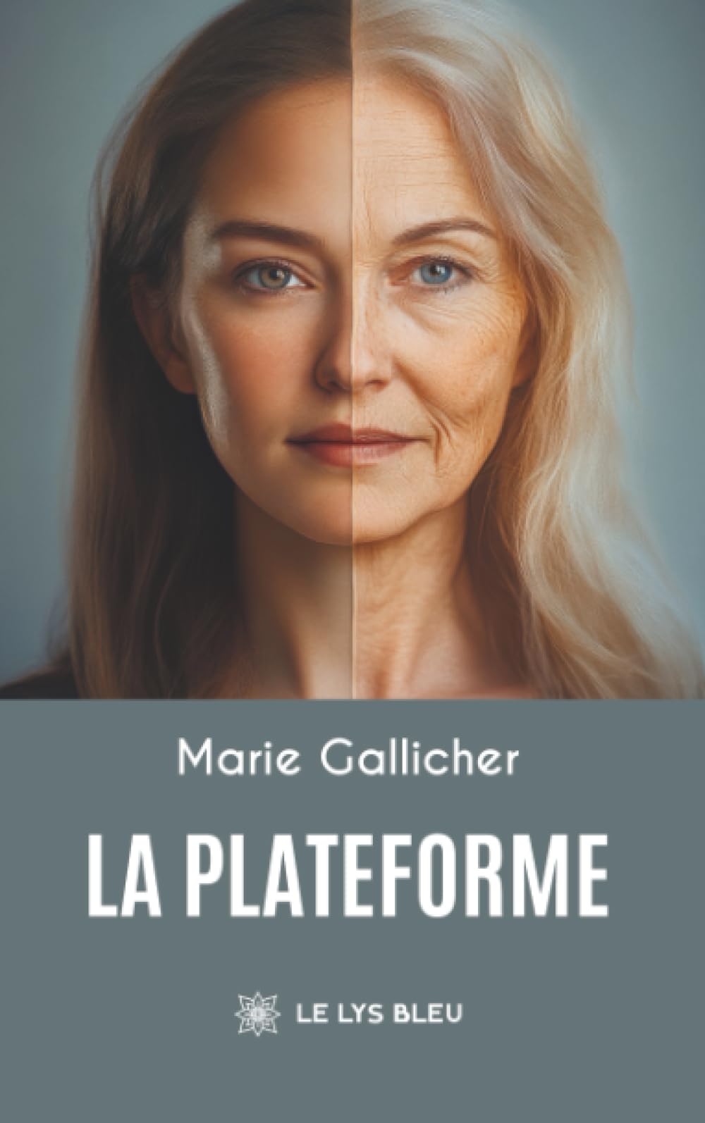 La plateforme