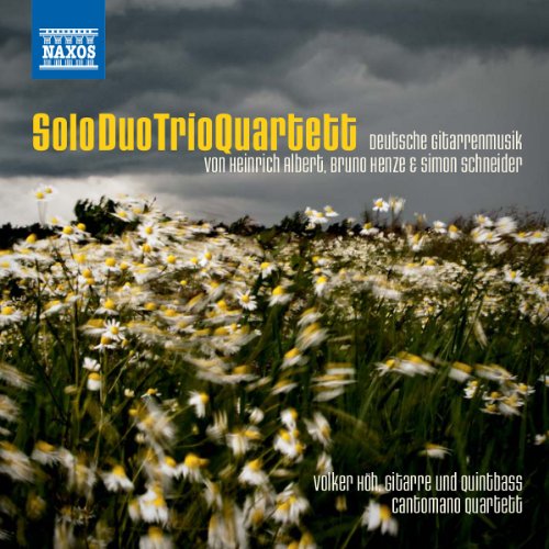 Soloduotrioquartett