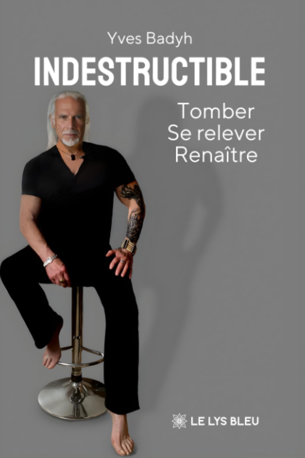 Indestructible: Tomber, Se relever, Renaître