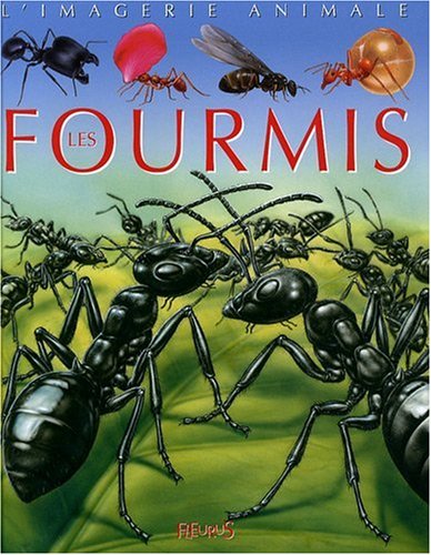 Les fourmis - Emilie Beaumont, Sabine Boccador, Marie-Christine Lemayeur, Bernard Alunni