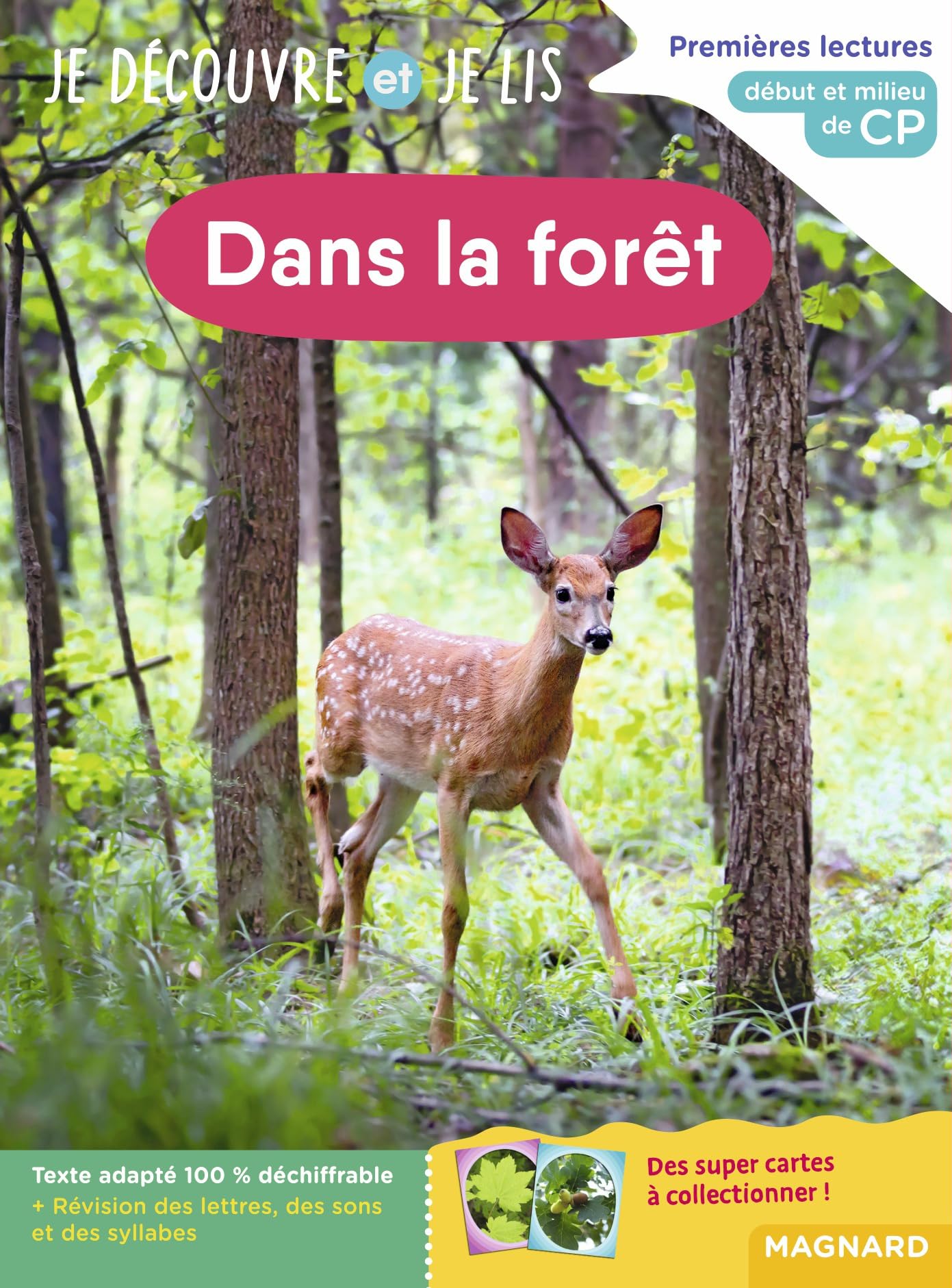 Je découvre et je lis: CP: Dans la forêt - Début et milieu de CP