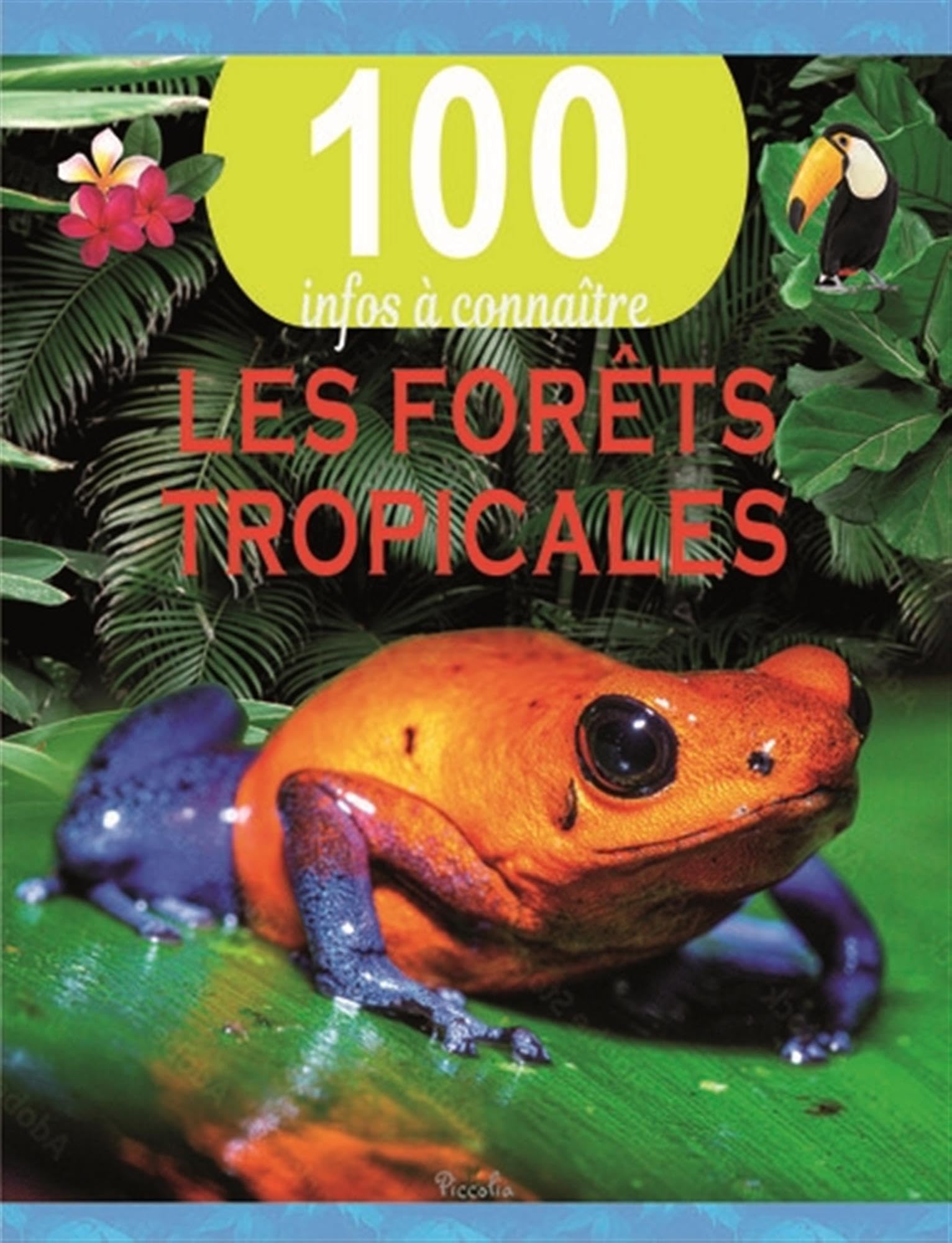100 infos à connaître: La forêt tropicale