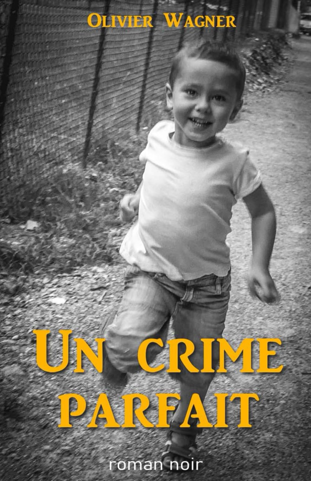 Un crime parfait