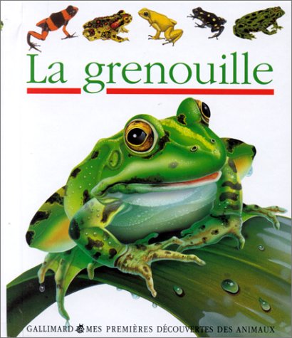 La grenouille - Daniel Moignot