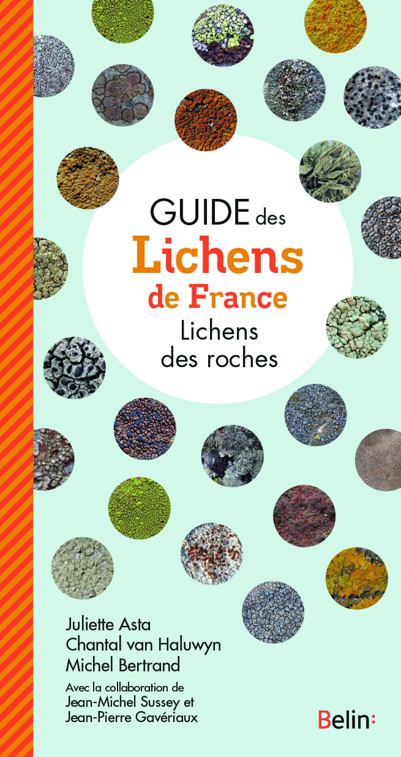 Guide des lichens de France: lichens des roches