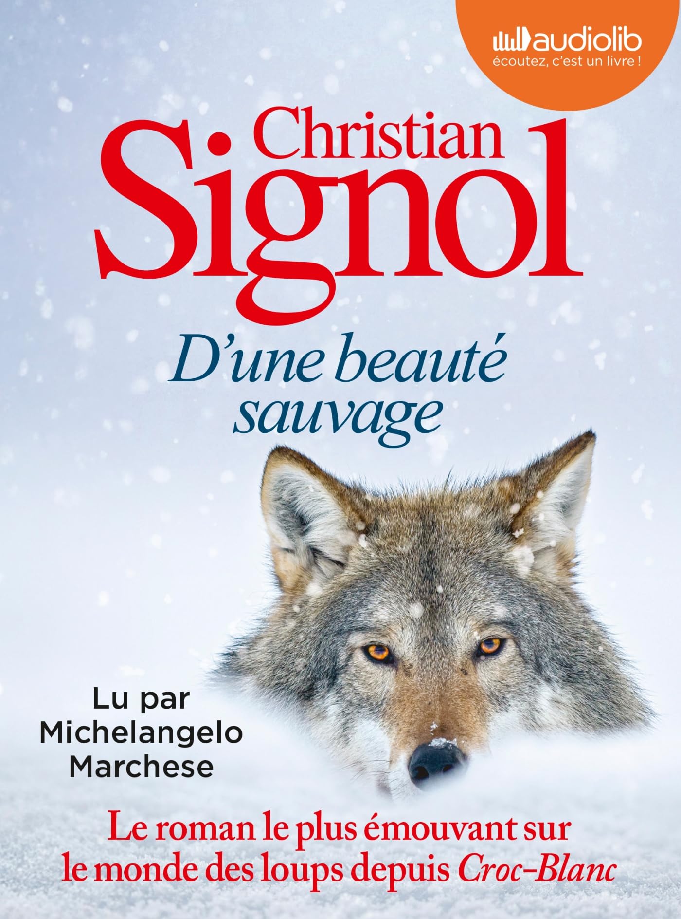 D'une beauté sauvage - Livre audio 1 CD MP3